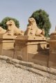 Besuch des Karnak-Tempel bei Luxor