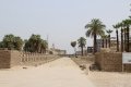 Besuch des Luxor-Tempels