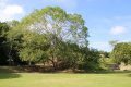 Besuch der MayastÃ¤tte Altun Ha in Belize