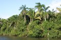 Flussfahrt in Belize