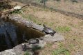 Schildkrötenpark auf Korsika