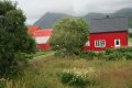Sightseeing in den Lofoten