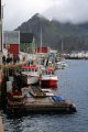 Tagestour durch die Lofoten