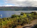 Besuch von Loch Ness und Urquhart Castle