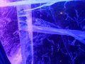 IceBar in Stockholm