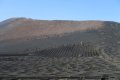 Weinanbau auf Lanzarote