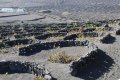 Weinanbau auf Lanzarote