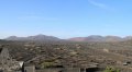 Weinanbau auf Lanzarote