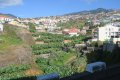 Sightseeing in Funchal (Madeira)