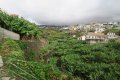 Sightseeing in Funchal (Madeira)