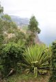 Sightseeing in Funchal (Madeira)