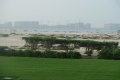 Sightseeing in Dubai: Mit dem Bus durch die Stadt